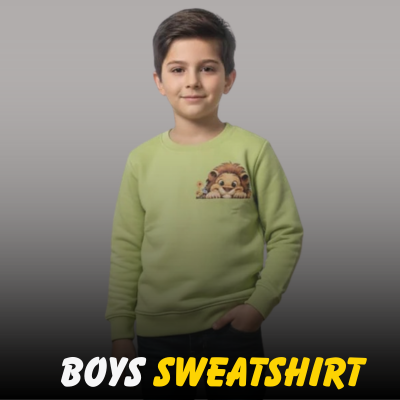 A young boy wearing a lime green crewneck sweatshirt with a cute lion graphic on the chest from Nazz Collections.