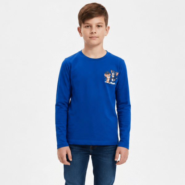 Boys full sleeve character T-shirt in blue colour